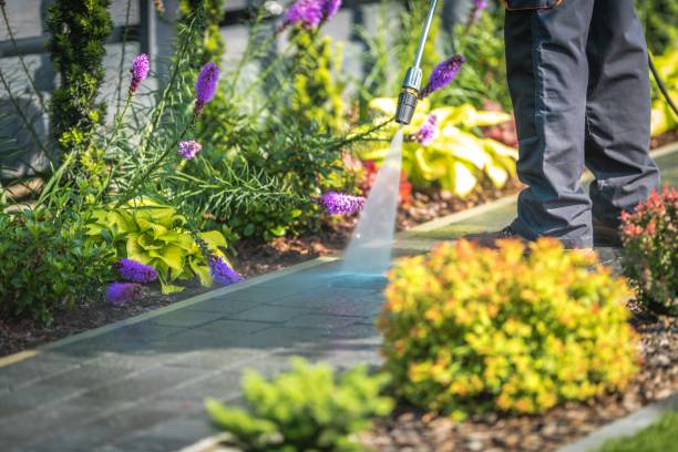 Best Winterizing Services  in Hayward, WI